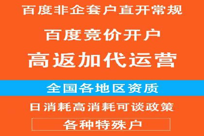 百度竞价推广公司成功经验分享：广告投放的技巧与策略